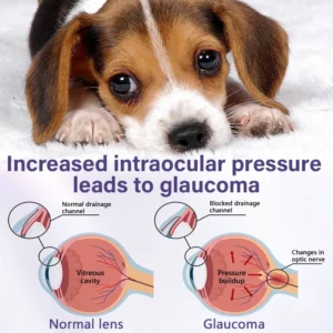 Timilk® NanoCare Pet Eye Drops  👩‍⚕️ FDA Approved | Relieves Conjunctivitis, Dry Eyes, Cataracts & Keratitis 🐶🐱